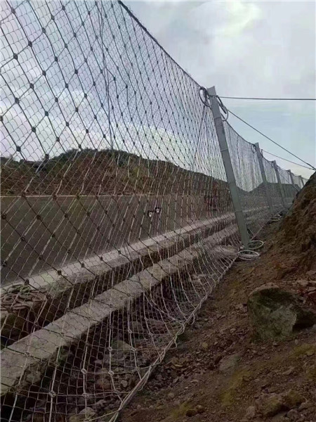 被动防护网